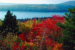 Acadia National Park